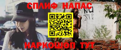 МДПВ Сланцы