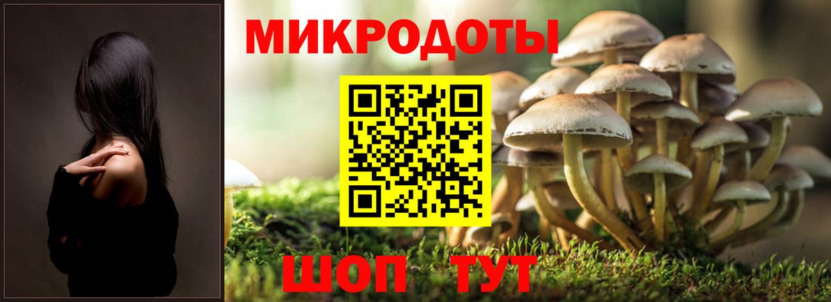Псилоцибиновые грибы Cubensis  Вход с VPN  Сальск 