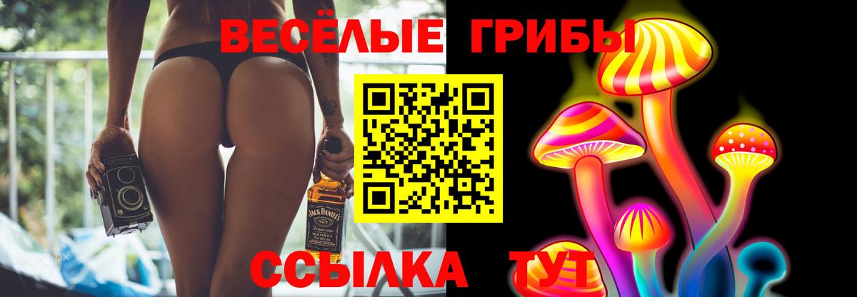 Псилоцибиновые грибы Magic Shrooms Сальск